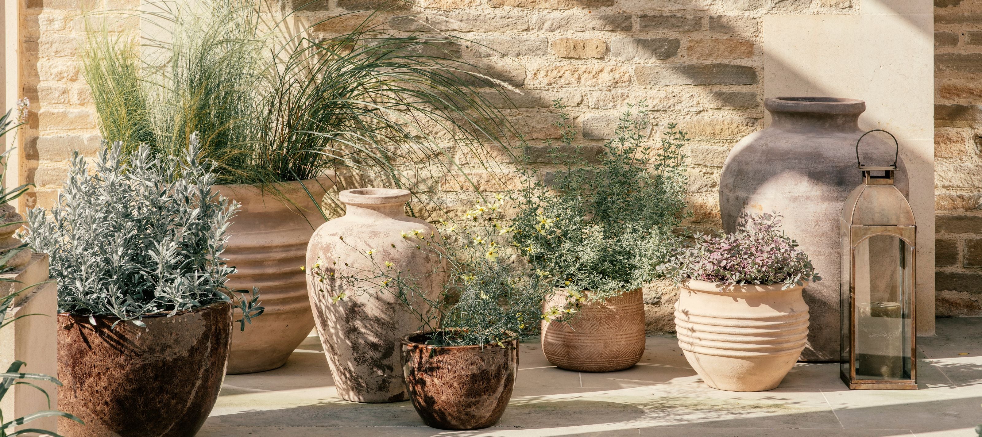 spring_planting_3_-_Desktop
