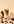Kavayn Vanilla-Hazelnut Snap Packs Wholesale Case