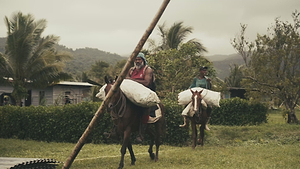 Video 4 trigger image