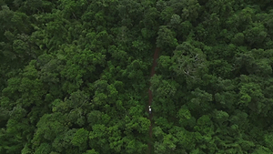 Video 3 trigger image