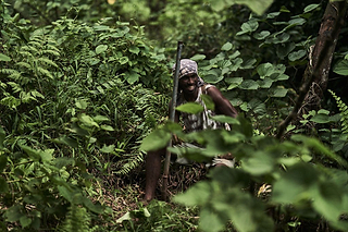 How to Understand Where Kava Comes From - Kavayn