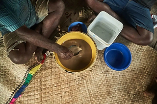 The forms of kava, compared