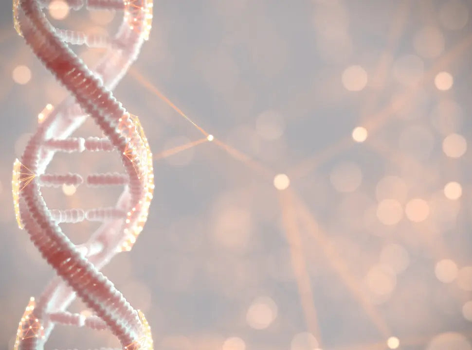 How genetic test helps you to achieve the best health, fitness and physique outcomes. - Chief Nutrition