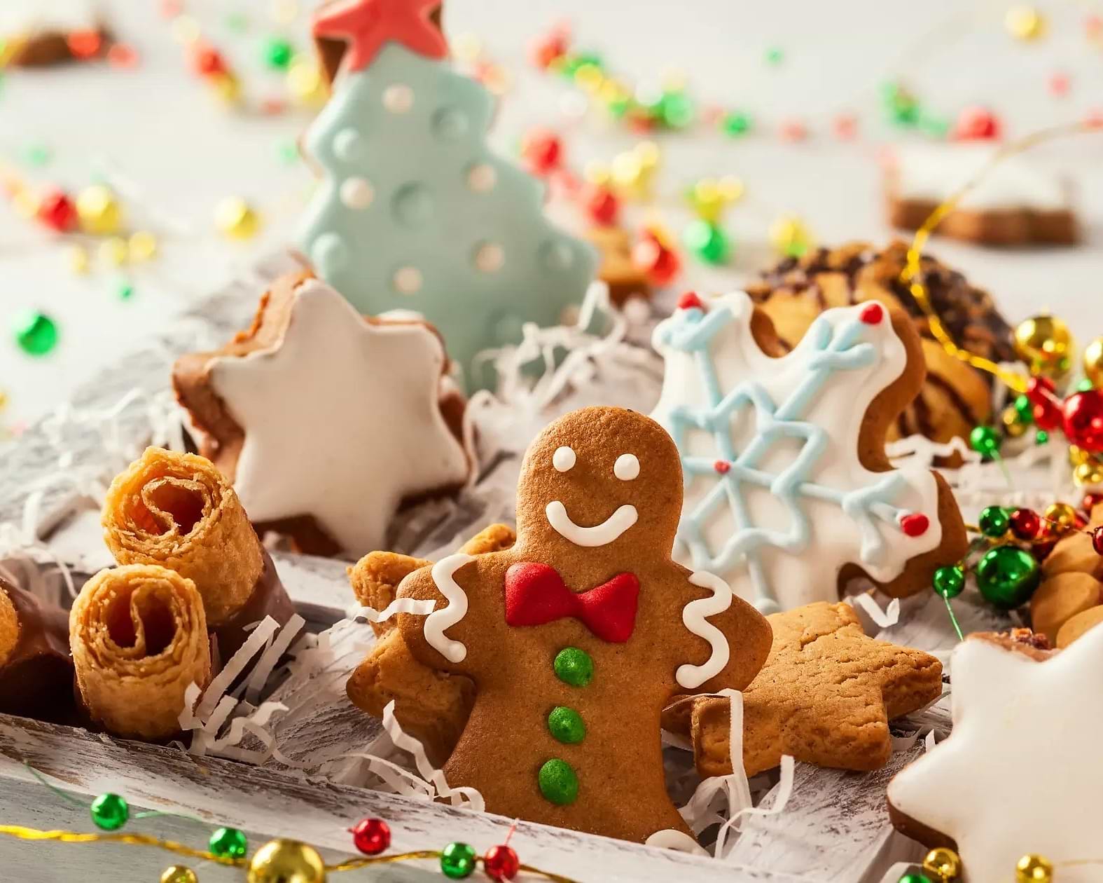 How to hit protein goals during the festive season - Chief Nutrition