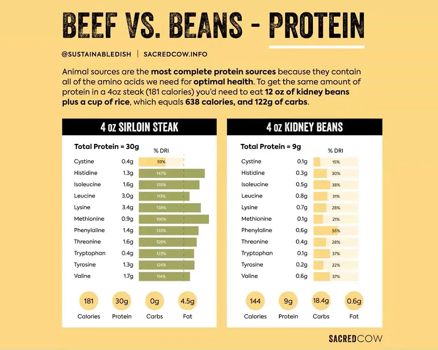 Ending the Anti-meat Narrative with Diana Rodgers - Chief Nutrition
