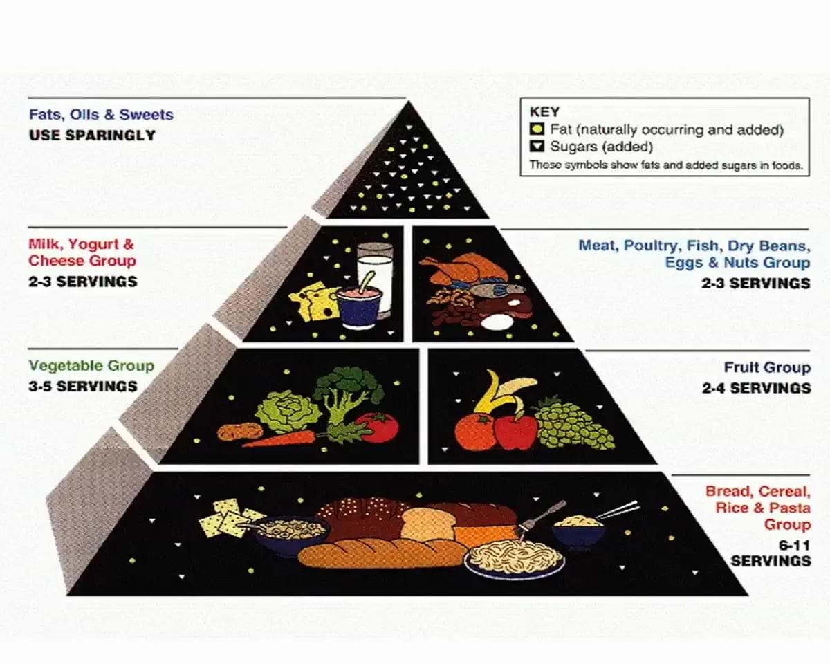 The corrupt history of the food pyramid - Chief Nutrition