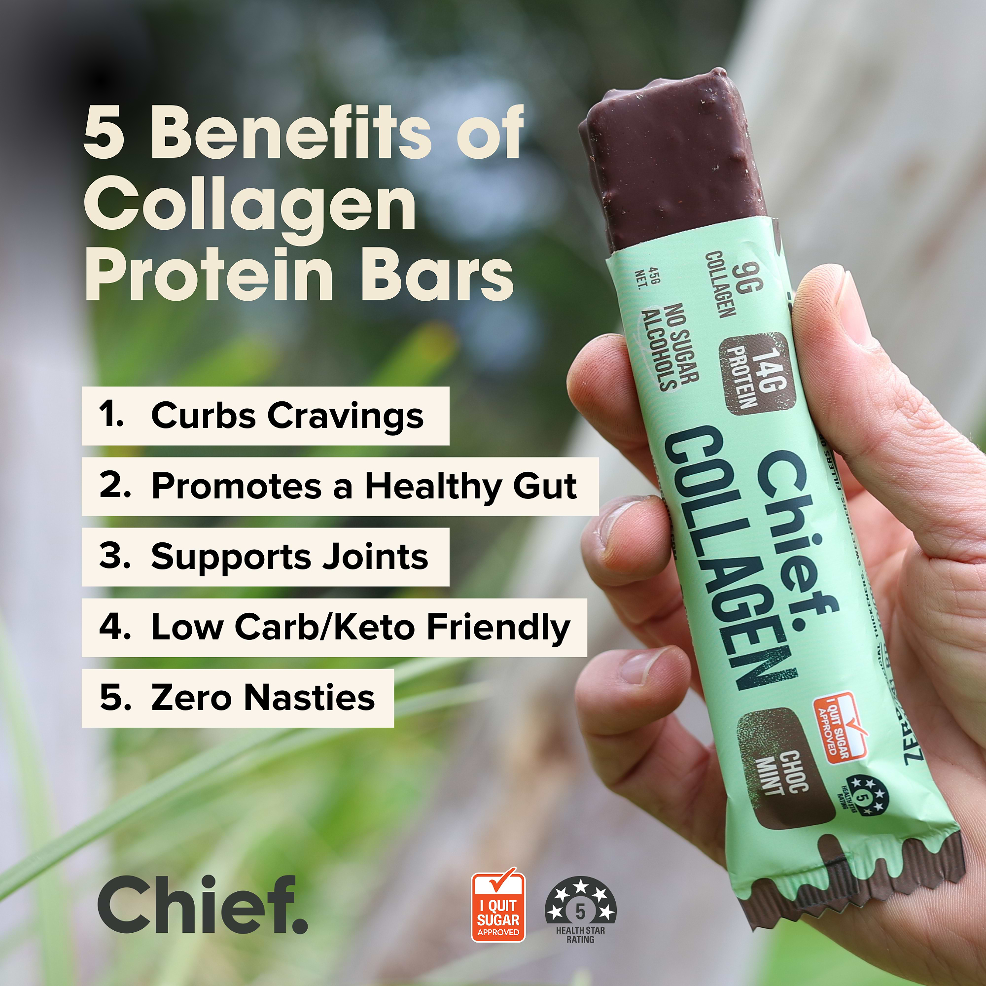 Collagen Protein Bars - Choc Mint
