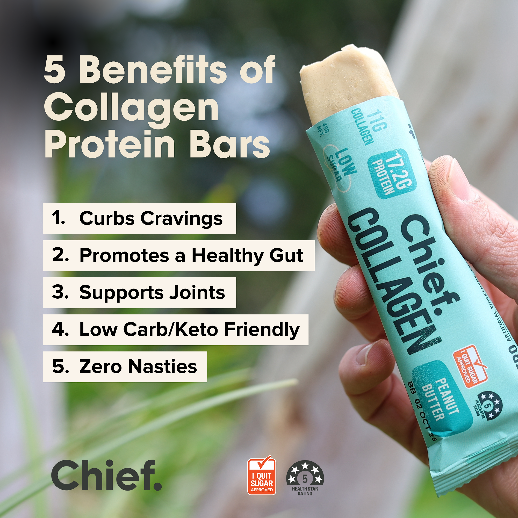 Collagen Protein Bars - Peanut Butter Bar (Batch Tested)