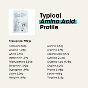 Grass-fed Whey Protein Powder - Creamy Vanilla