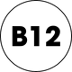 B12_icon_5ce21a53-cb72-4eb5-9362-157c58fc312c.png