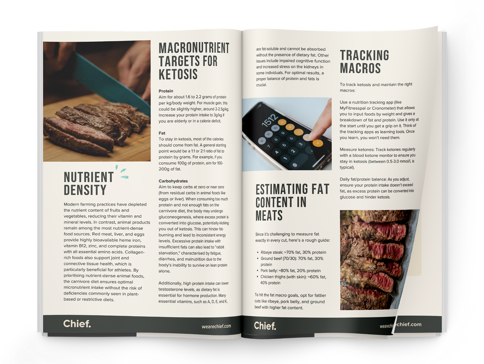 How To Do Carnivore Right eBook (eBook)