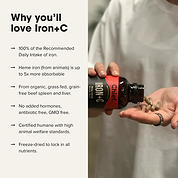 Iron+C