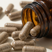 Organic Beef Organs (Multivitamin)