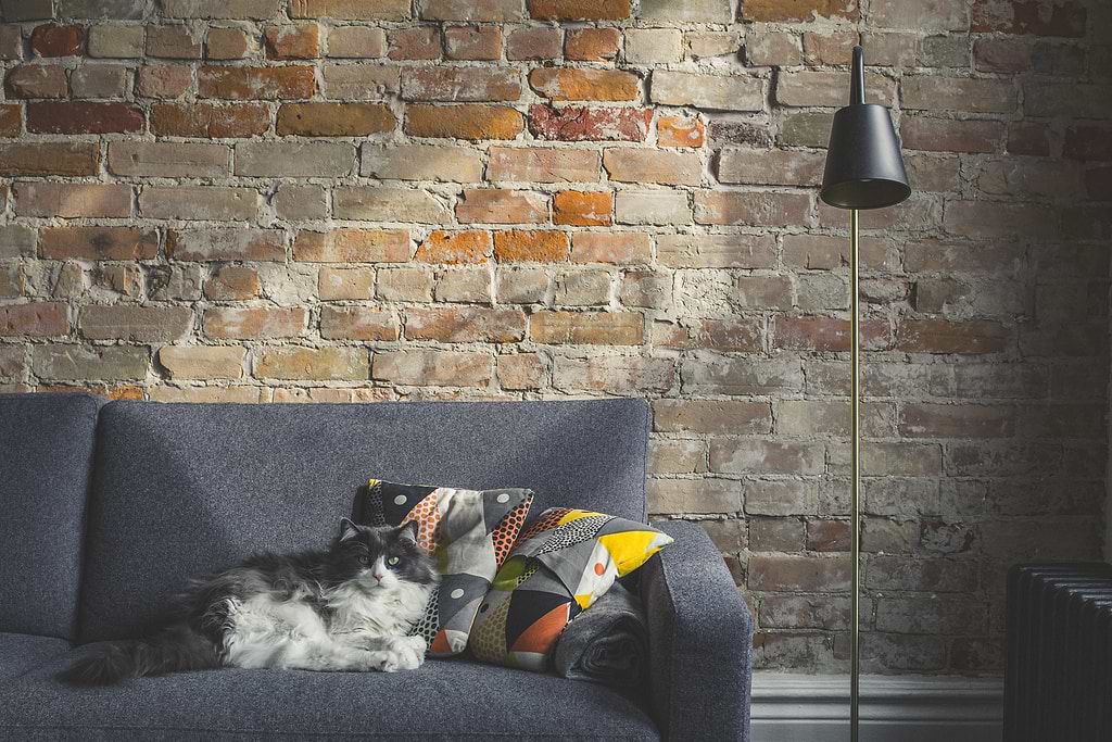 Sofa - Ostrichpillow Magazine