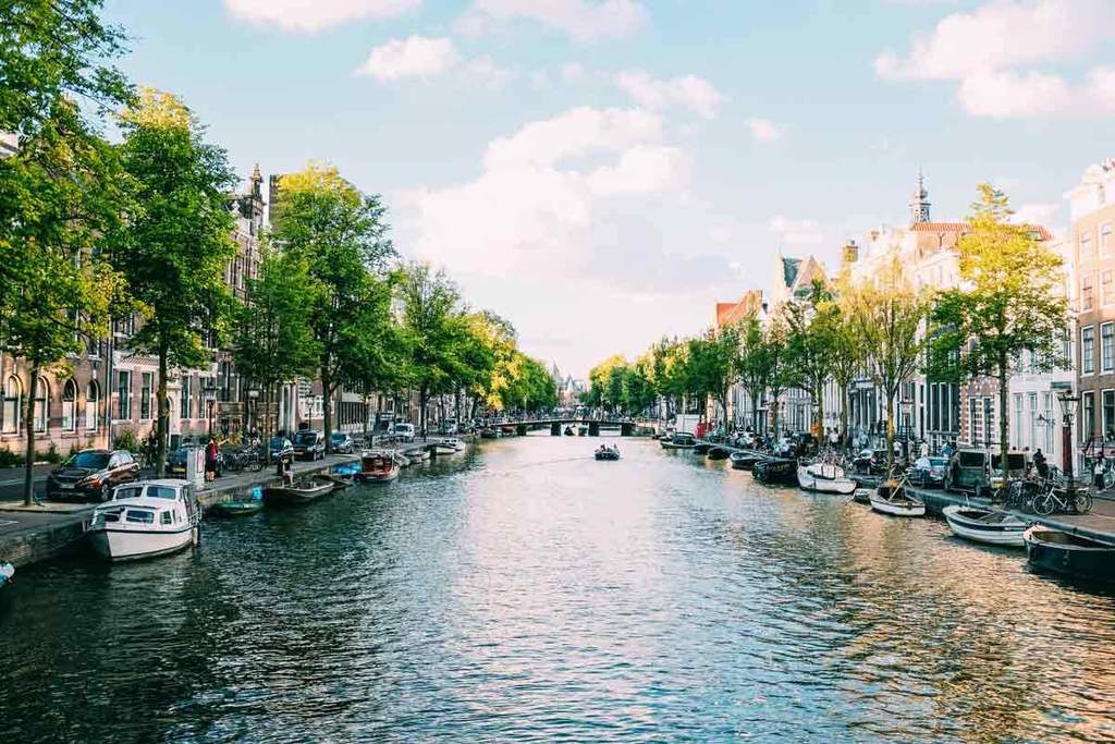 Amsterdam Guide by Ostrichpillow