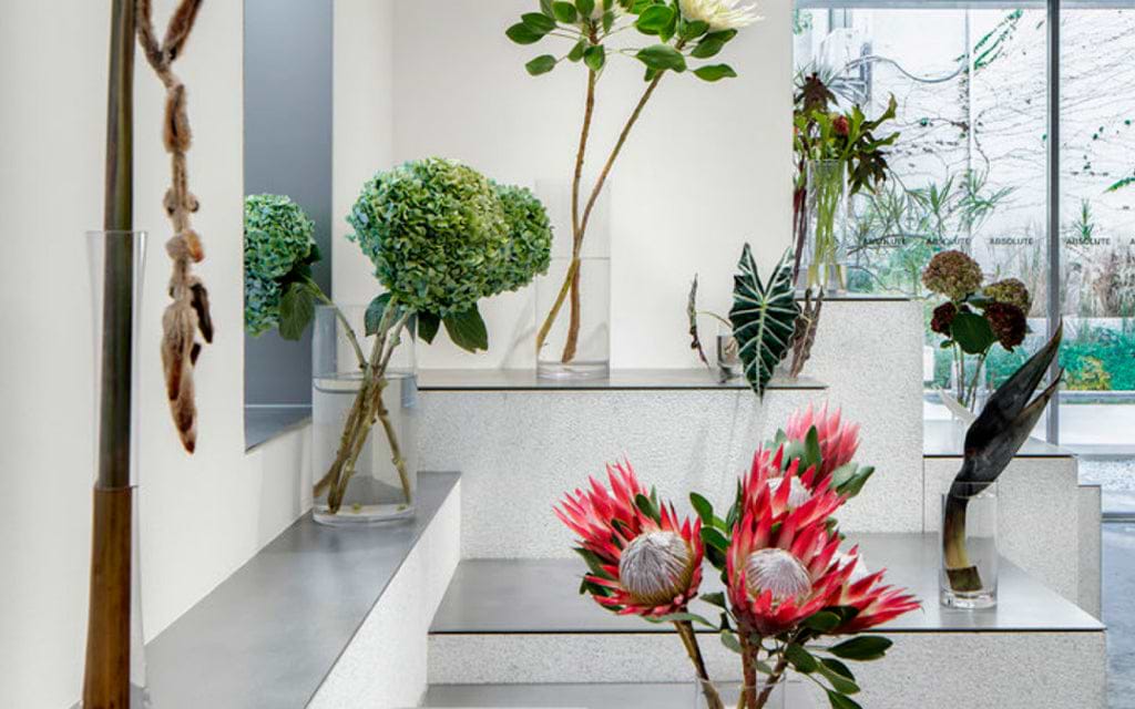 Indoor garden