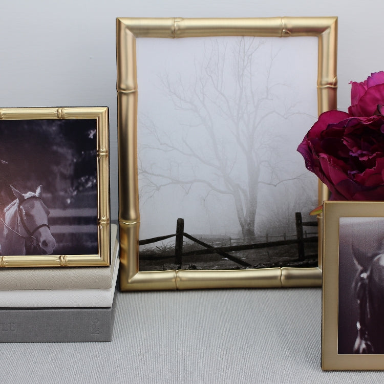 Gold Styled Frames