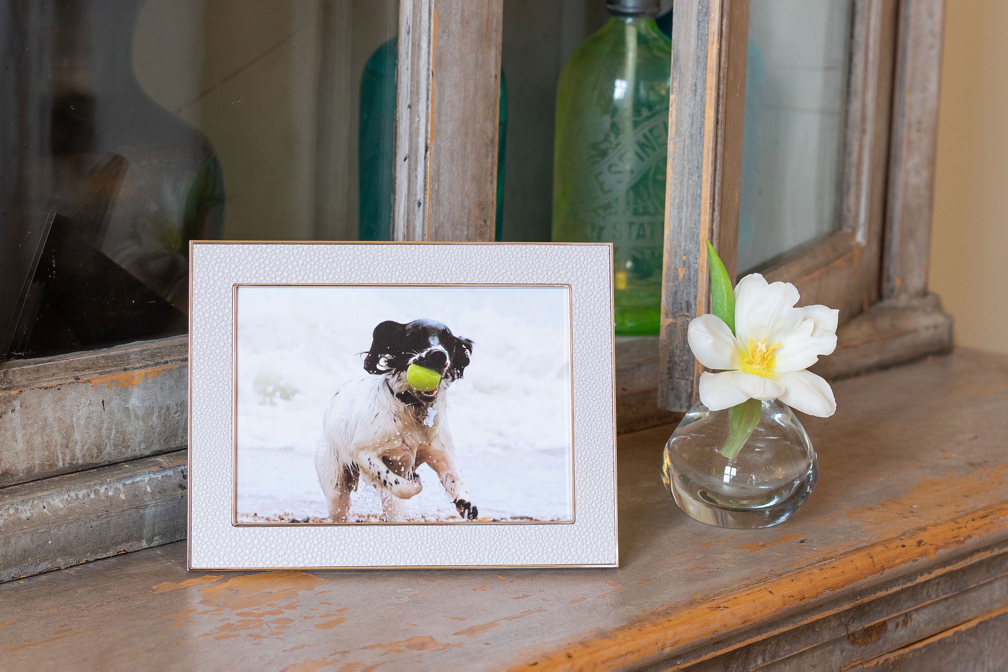 Faux Shagreen Frames