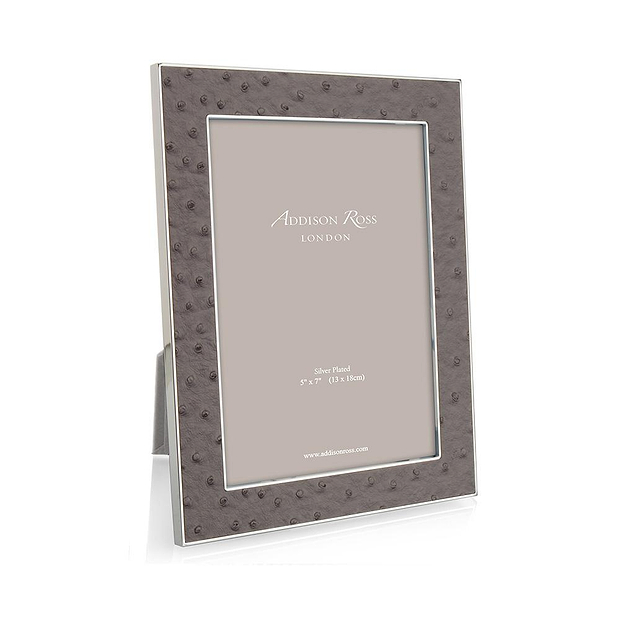 Stedelijke struisvogel en zilveren frame