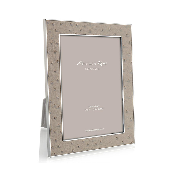 Schaduwstruisvogel en zilveren frame