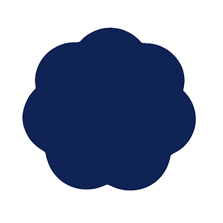 Navy Lacquer Placemats – Set of 4