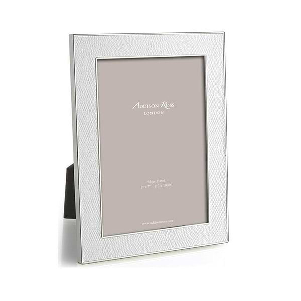 White Snake & Silver Frame