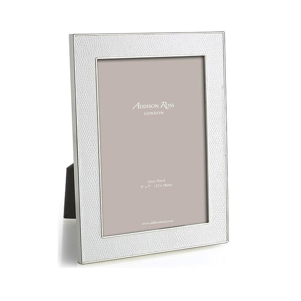 White Snake & Silver Frame