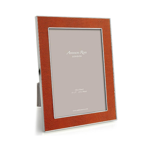 Orange Snake & Silver Frame