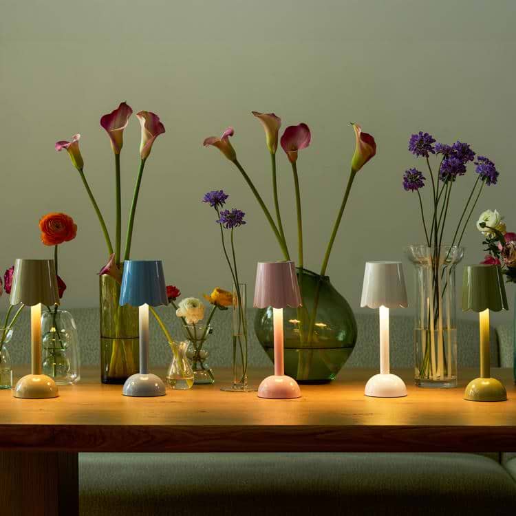 Cappuccino Scallop Rechargeable LED Lamp