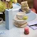 Blue Gingham Placemats- Set of 4