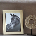 Ecru Faux Shagreen & brons fotoram