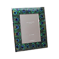Faux Peacock Feather & Silver Frame
