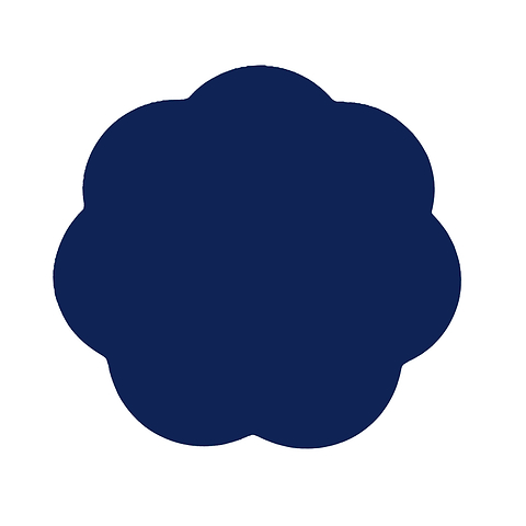 Navy Lacquer Placemats – Set of 4