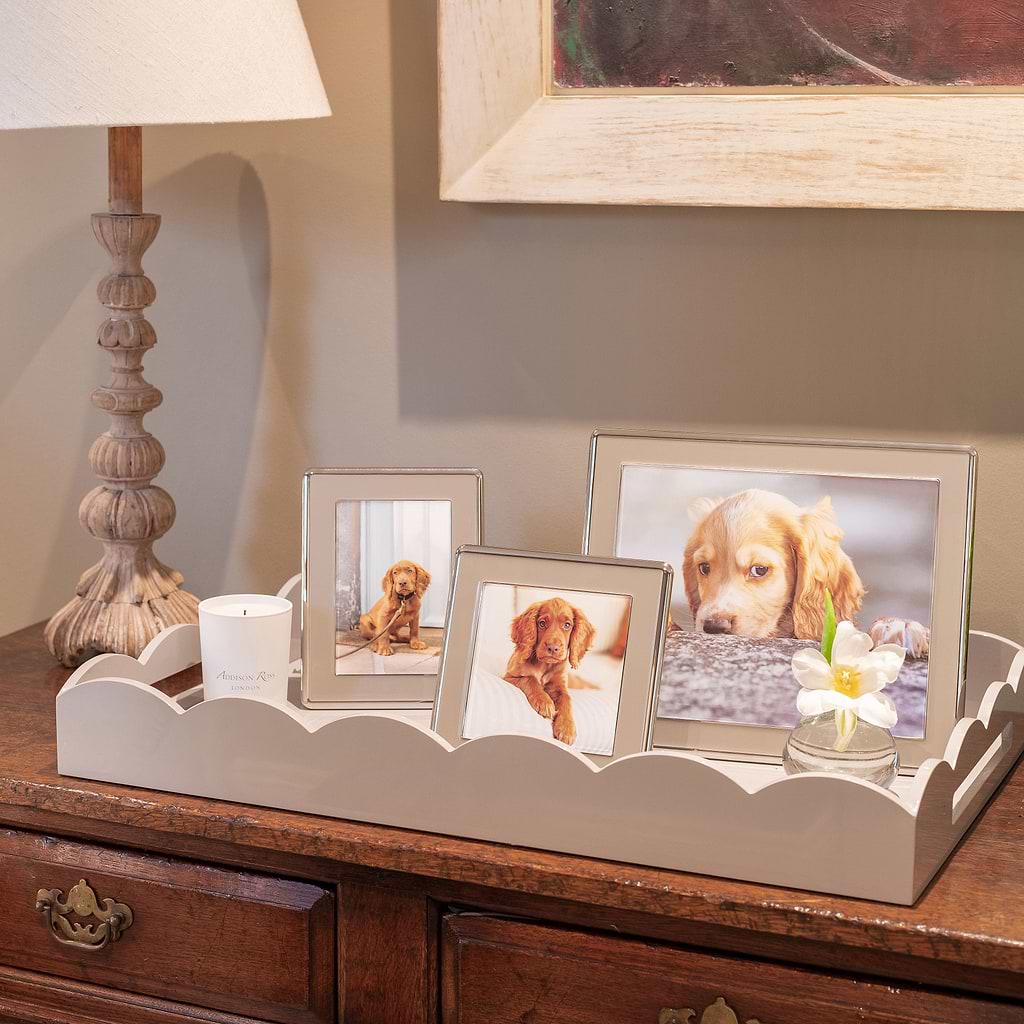 Chiffon Enamel & Silver Curve Frame