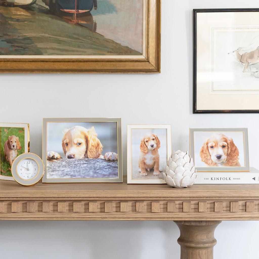 Chiffon Enamel & Gold Frame