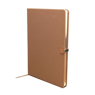 Quadern A4 Tan & Gold