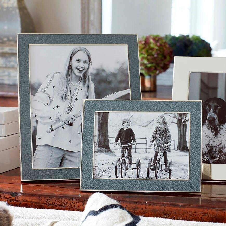 Grey Shagreen & Silver Frame
