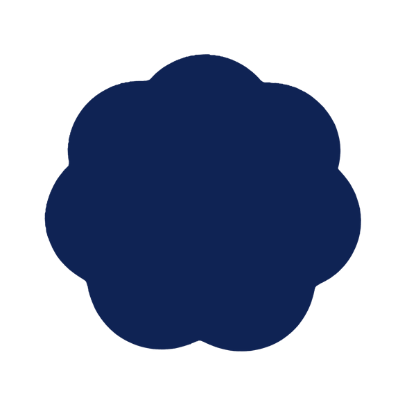 Navy Lacquer Placemats - Set of 4
