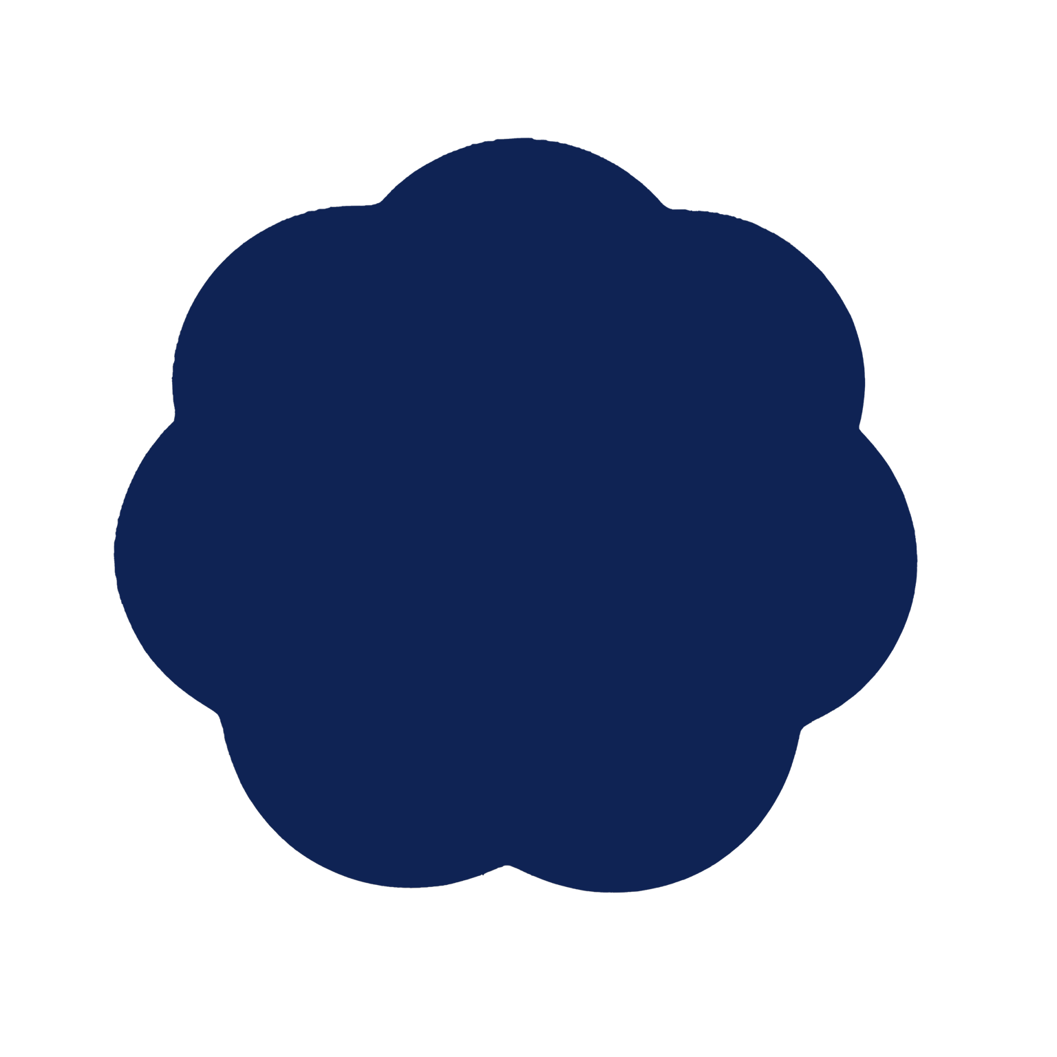 Navy Lacquer Placemats - Set of 4