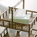 Mint Rectangular Tissue Box