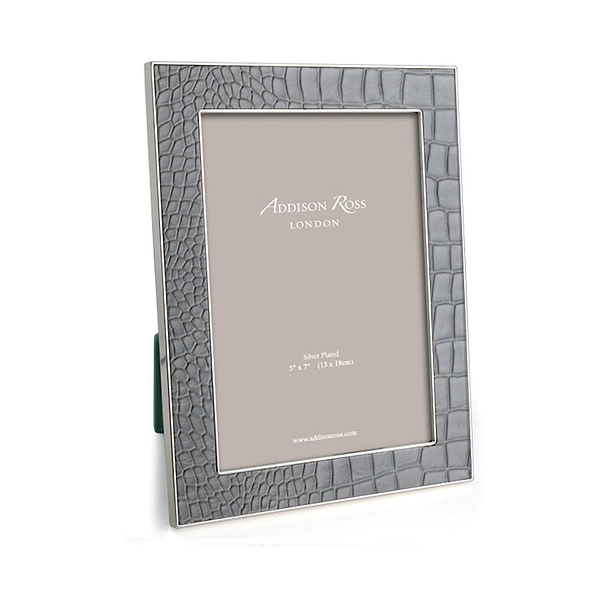 Dove Croc & Silver Frame