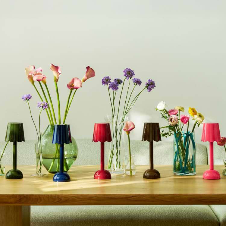 Chocolate Scallop Rechargeable LED Lamp - Addison Ross Ltd UK