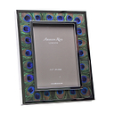 Wide Peacock Feather & Silver Frame