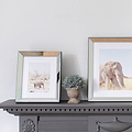 Angled Bevel Photo Frame - Addison Ross Ltd UK