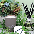 Off the Beaten Track Scented Candle - Addison Ross Ltd UK
