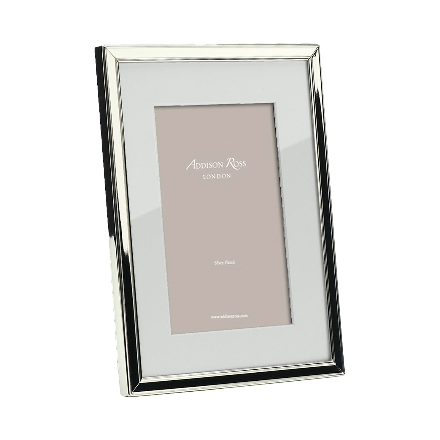 Silver Frame with mount