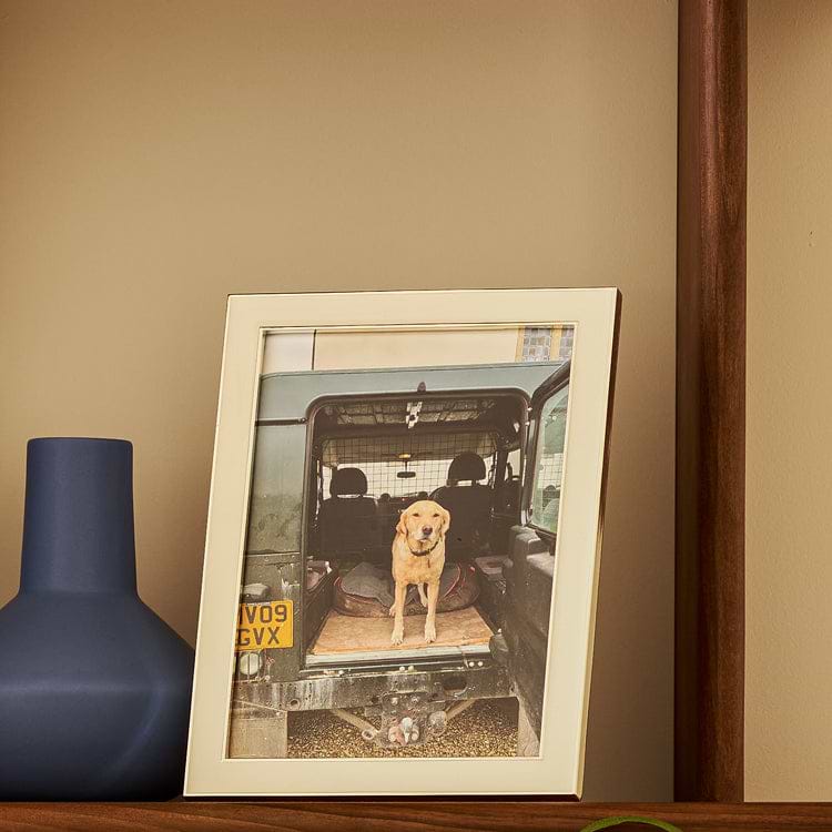 White Picture Frames