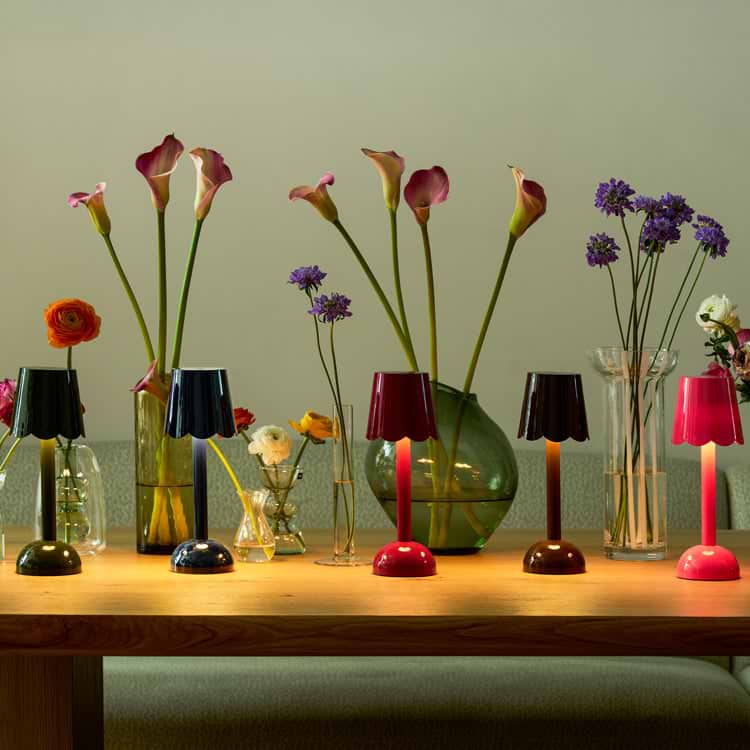 Rechargeable Scallop Lamps