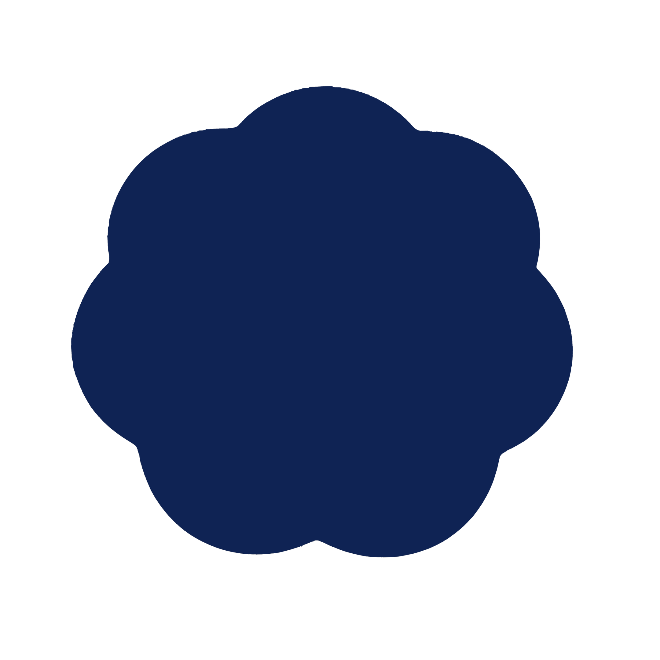 Navy Lacquer Placemats - Set of 4