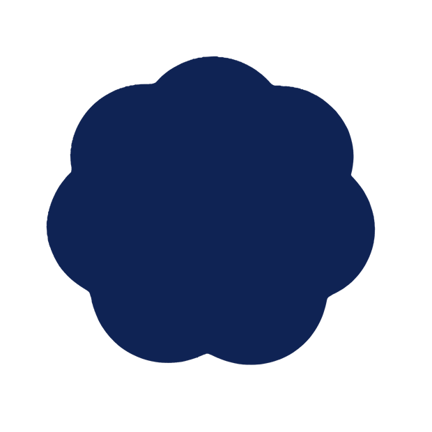 Navy Lacquer Placemats - Set of 4